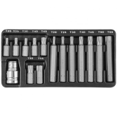 Набор вставок-бит Jonnesway 10 мм TORX® (30 и 75 мм), Т20-Т55, 15 предметов