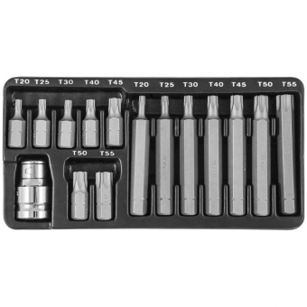 Набор вставок-бит Jonnesway 10 мм TORX® (30 и 75 мм), Т20-Т55, 15 предметов